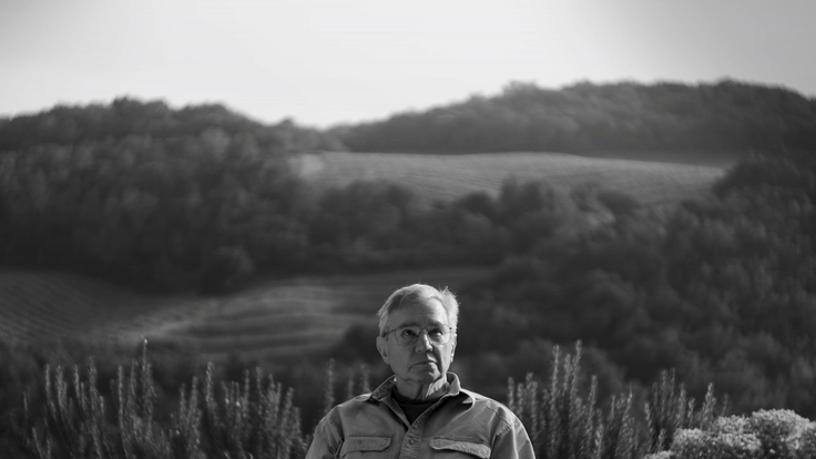 “The Last of the Nightingales” Tells the Story of How Soundscapes Change After a Fire