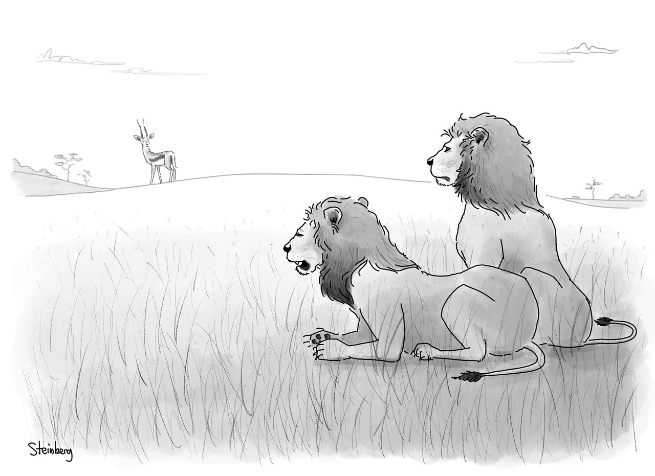 Two lions watching a gazelle.