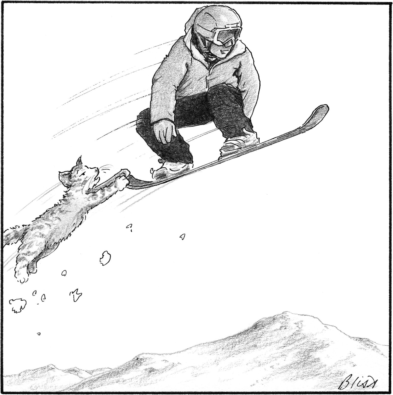Cat holding on to owners snowboard.